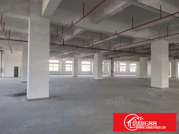 北栅原房东全新厂房分出租，600平方起租。