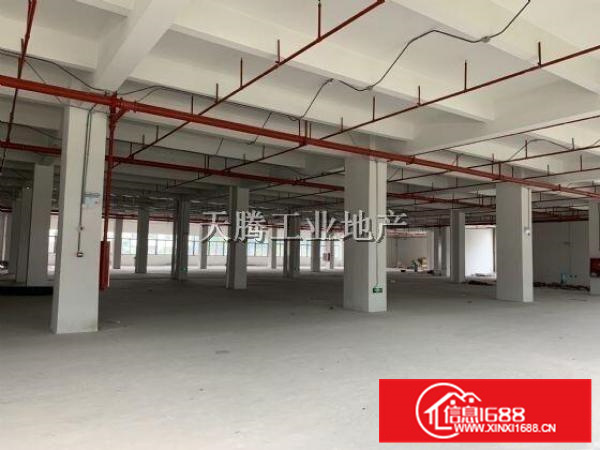 笋容桂全新厂房出租首层6000方