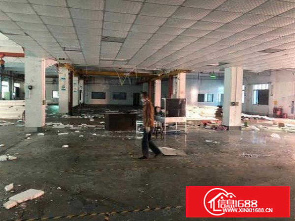 厦边新空出一楼高6.5米2000平带装修厂房招租