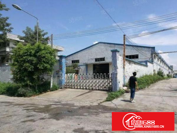 不拆迁，容桂2000方简易厂房，进车方便，证件齐全