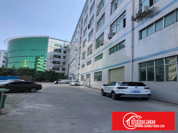 塘厦新出笋盘！园区内一楼768平，现成装修主线，拎包入驻！