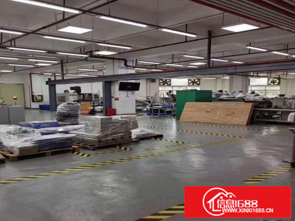 横岗六约红本花园式独院厂房招租（物业直租）