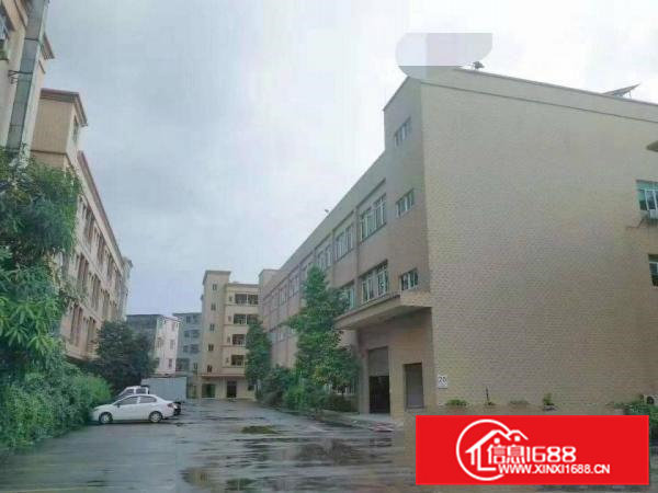 东莞独门独院花园式厂房出租全新地坪漆精装修办公室可分租