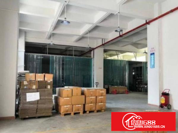 松岗红星新空出1楼650平厂房招租，带装修