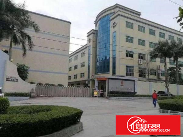 桥头各种独院标准厂房钢构300到80000平方出租