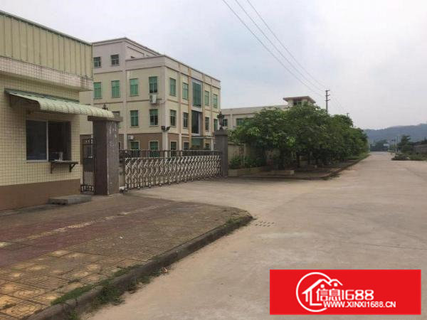 常平镇白石岗新出一楼1800平米标准厂房出租