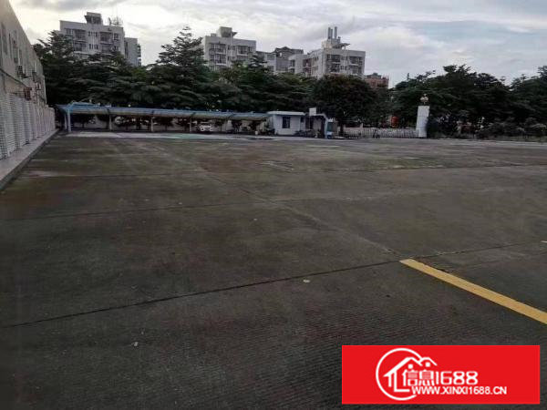 龙岗坪地中心段红本厂房钢构12米可做篮球场羽毛球场空地大