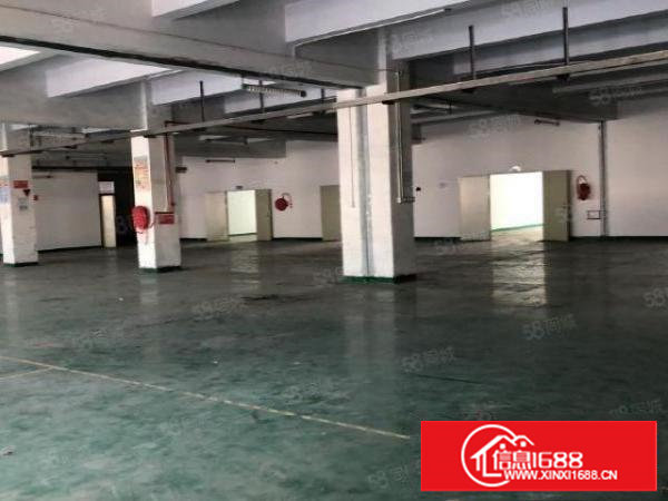 塘厦沙湖新出1700平标准厂房出租带绿色地坪漆价格实在