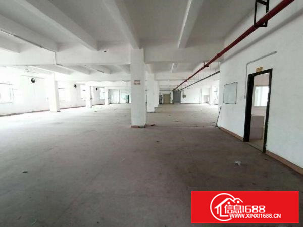 出租茶山标准厂房价格好马路旁厂房地皮一手房二手房出租买卖