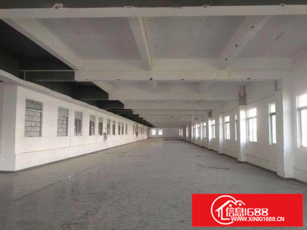 坪山碧岭5年合同红本9成新花园式独院厂房共4600平招租