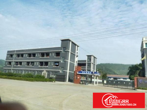 可分租，可整租！原房东厂房，砖墙到顶单一层8米