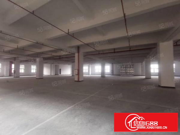 茶山全新独门独院可分租带印刷注塑丝印环评厂房空地大交通方便