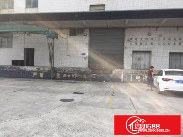 坂田地铁口带装修200平300平500平1000