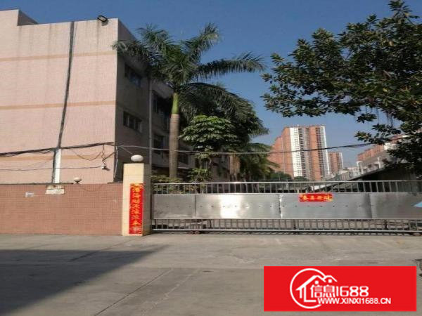 平湖良安田原房东出租一楼800平方，楼上550平方，面积实在