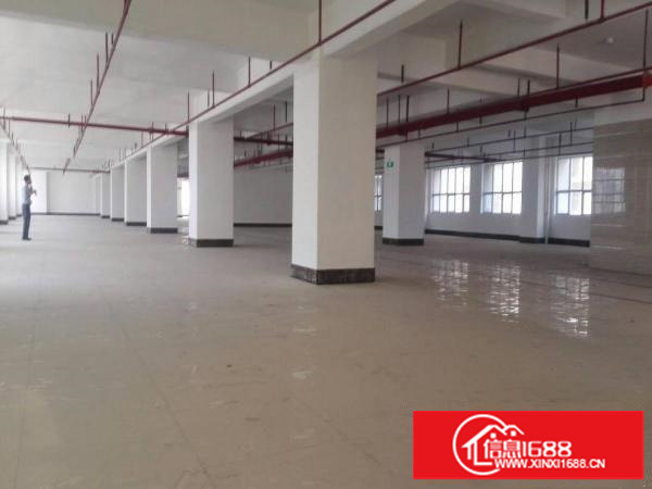 正规标准花园式厂房，550平米招租