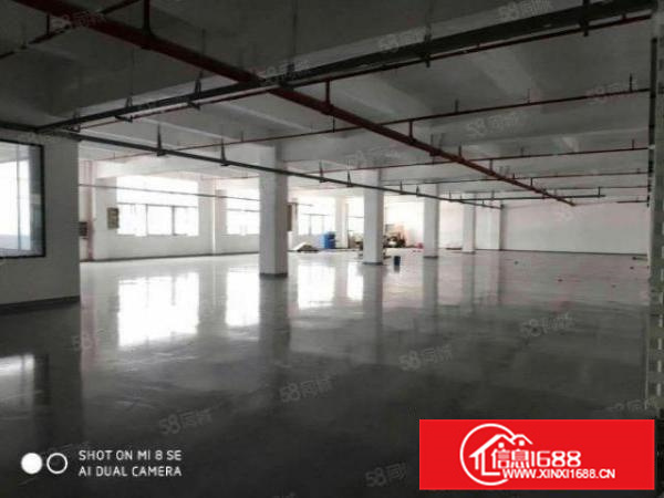 带装修，容桂500方标准水泥结构厂房，进车方便