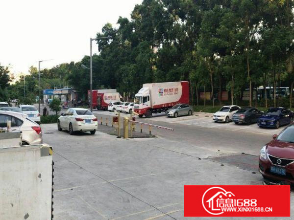 坂田五和一楼200~2000平电商物流仓库办公汽修等