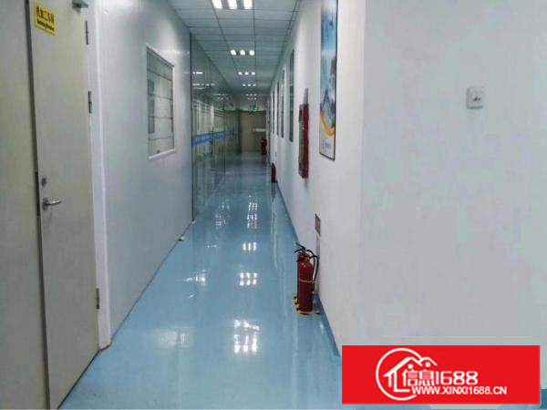 观澜梅观高速大型工业园内新出原房东厂房850平方