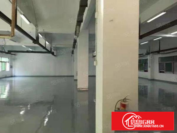 樟木头标准一楼800平方带全新地板漆厂房出租