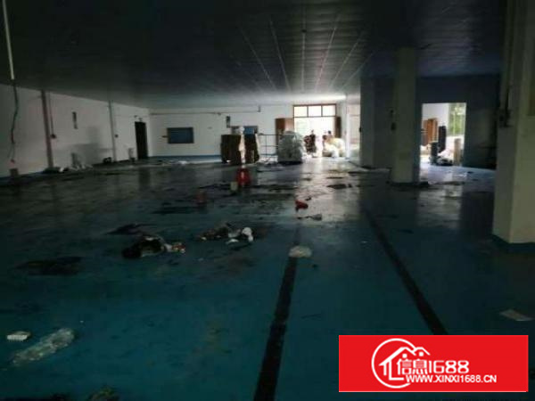 出租原房东单一层厂房独门独院先到先得