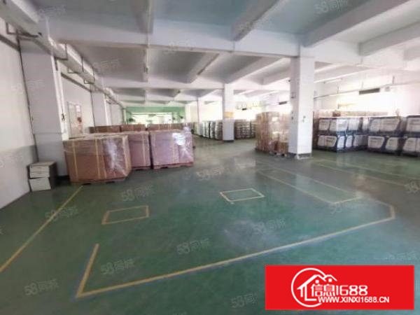 大岭山新出原房东独院楼上2100平方厂房出租