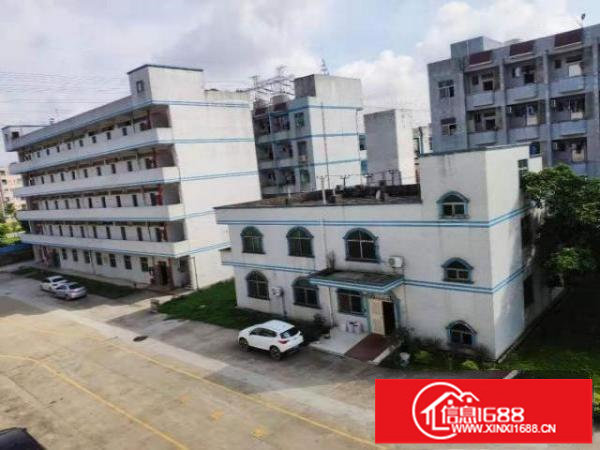 厂房出租宝安松岗江边