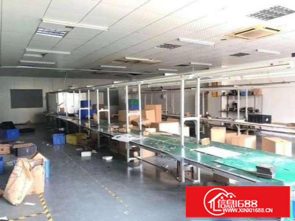 出租)沙头南区新出二楼750平方精装修厂房