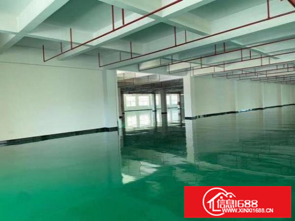 出租厂房3850平方三楼有地坪漆办公室装修