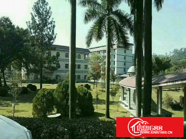 平湖大型工业区三楼面积1500平米带装修出租急急