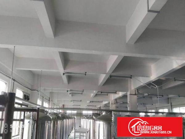 石排独门独院2000平方厂房形象好