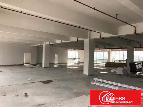 惠阳邻深片区原房东新建高薪产业园招租价格实在无公摊