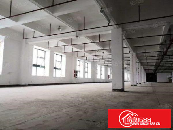 平湖广场独院厂房10000平方原房东直租带红本可分租