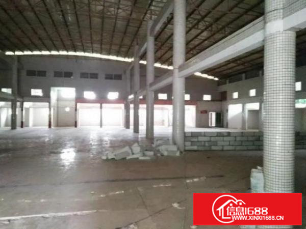 清溪铁松村单层钢构1600平，滴水8米，可以分租