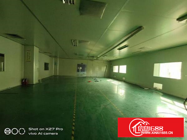 塘厦桥陇纱布街新出3楼1600平现成无尘车间医疗配件拎包入住