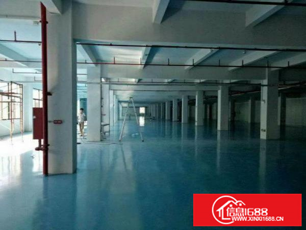 仲恺TCL附近原房东4000平方，精装修厂房急租！