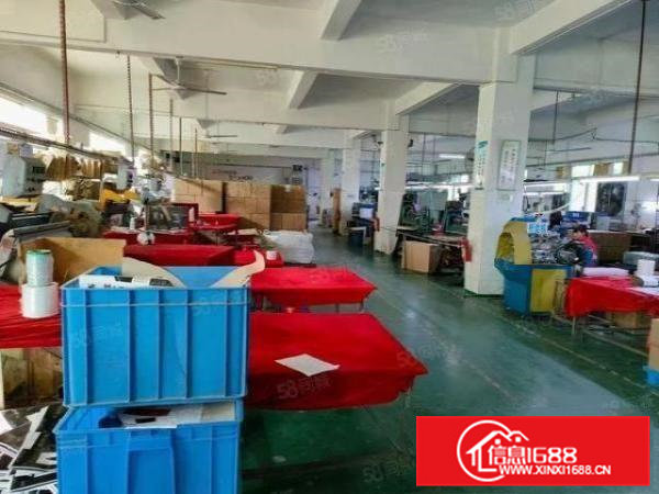 独门独院9800平方，可分租1350平方