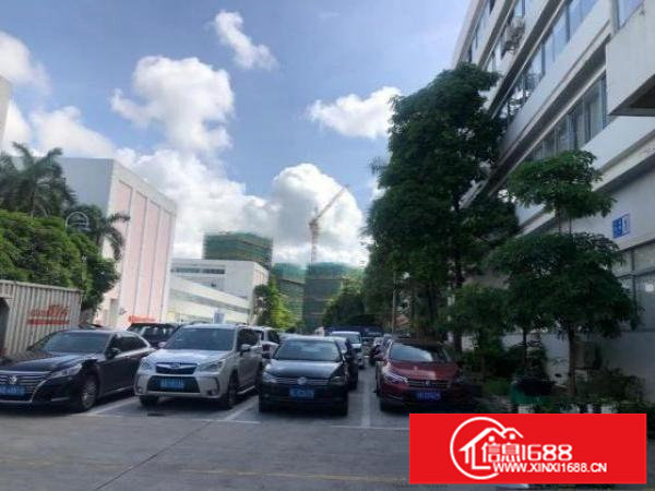 坪山大工业区一楼厂房3000平，层高9米，300平起分租