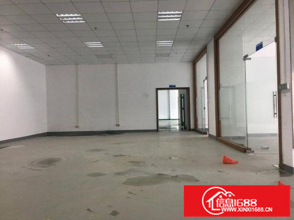 丹竹头地铁站300 500平方豪华装修厂房出租