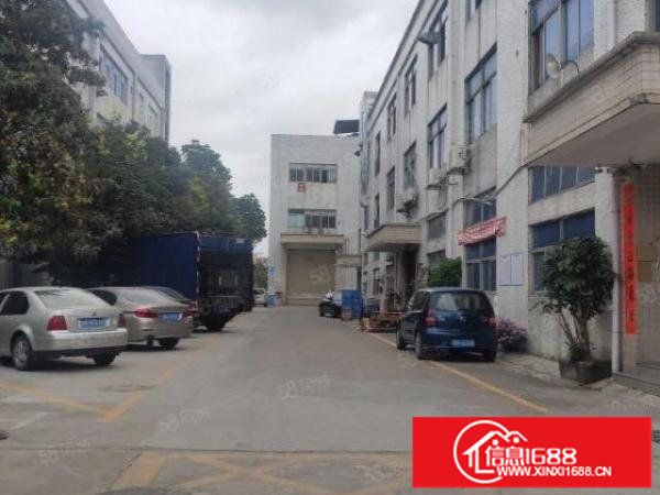 福永新和一楼260平带装修厂房招租