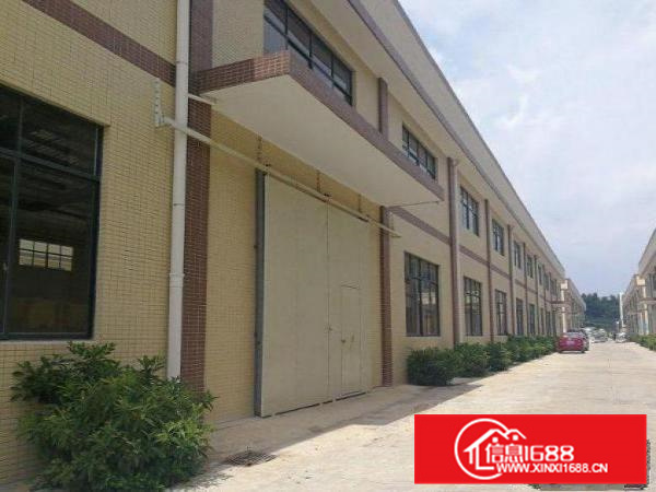 惠州新墟8米高钢构厂房面积800平米出租可分租