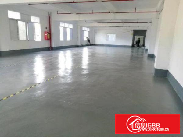 西乡，铁岗大型工业园，楼上带装修700平，厂房仓库出租