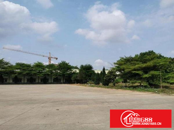 东坑角社独立园厂房出租