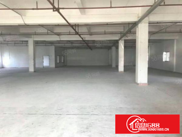 茶山镇新出原房东标准小独门独院厂房3000平方出租