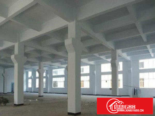 龙岗区中心城原房东1500平米全新厂房出租