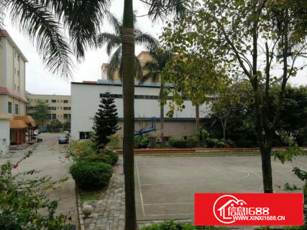 龙岗一手房源十米高3600平米单一层钢结构厂房招租