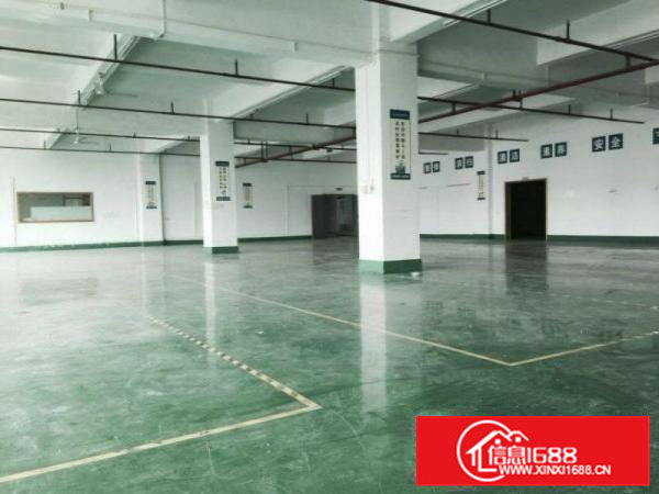 石排新出超靓标准独门独院5000平方厂房出租