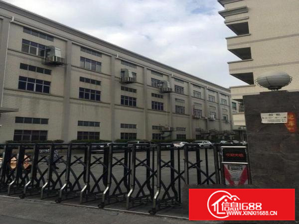 大岭山向东原房东精装独门独院厂房7500平米