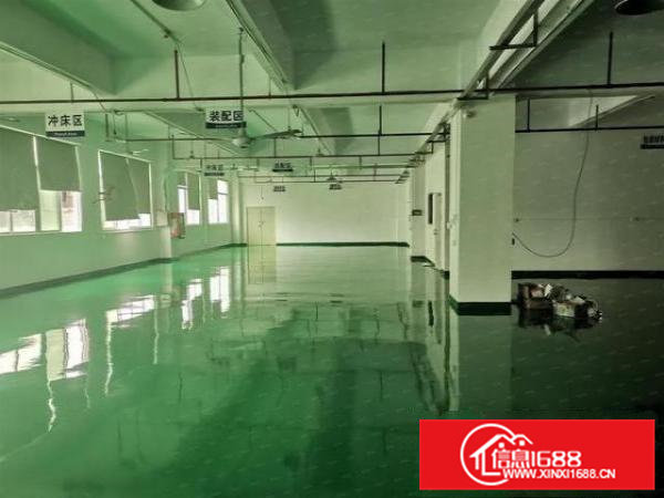 横沥半仙山楼上880平带全新地平漆办公室隔好