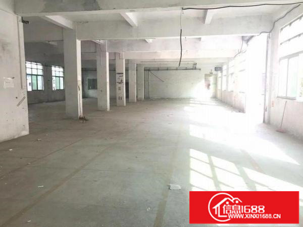 坪山碧岭经典小独院独院4000平现成水电出租