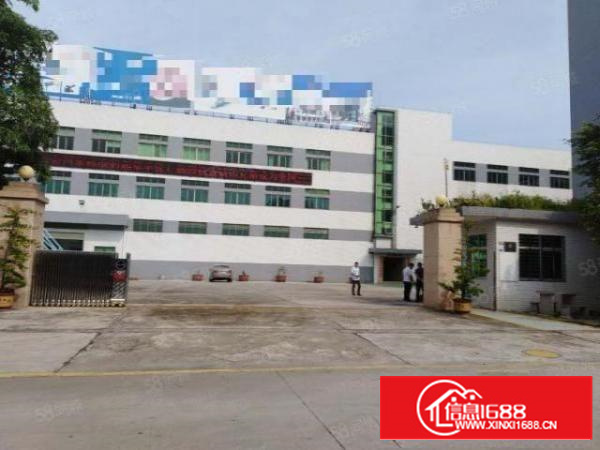 茶山镇京山工业区高大上独院厂房厂房三层，面积9000平